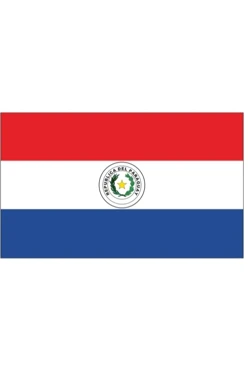 Купить флажок Парагвая