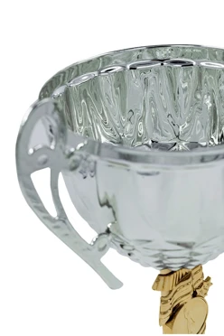 Кубок ИК0060#1