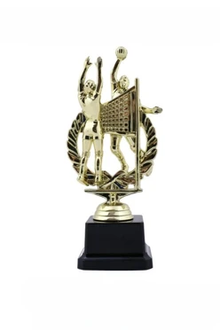 Купить приз Волейбол 1457-G (14,6см)