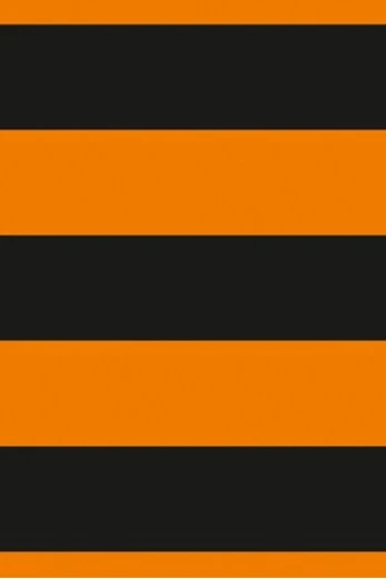 Флаг Георгиевская лента#2