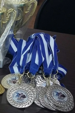 Лента для медали Динамо репс ширина 2,2 см, с карабином#2