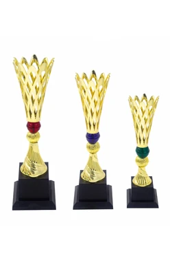 Кубок ИК0034#1 Кубок ИК0034#1