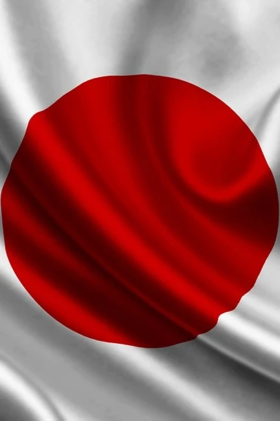 Купить флаг Японии 90х135 см