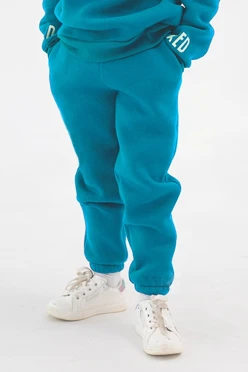 Купить брюки Хит из футера с начесом детские, однотонные голубые