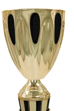 Кубок ИК0084#2 Кубок ИК0084#2