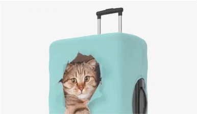 INARI - Производственная компания | INARI