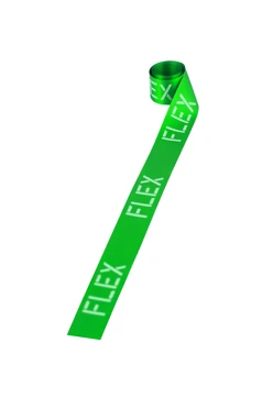 Купить ленту сатин ширина 2,5 см зеленая, печать серебром с одной стороны