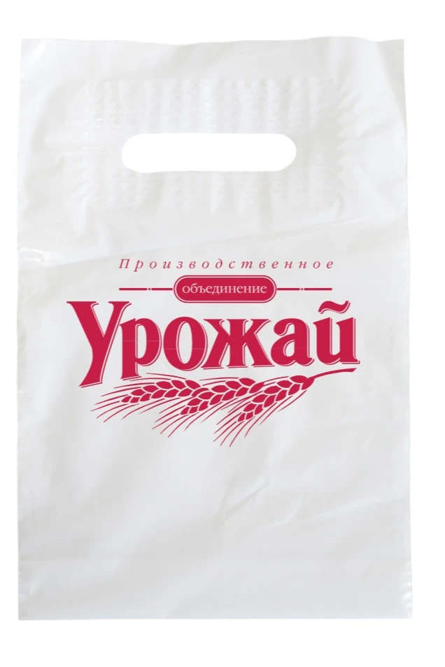 Купить пакет с вырубной ручкой 20х30 см