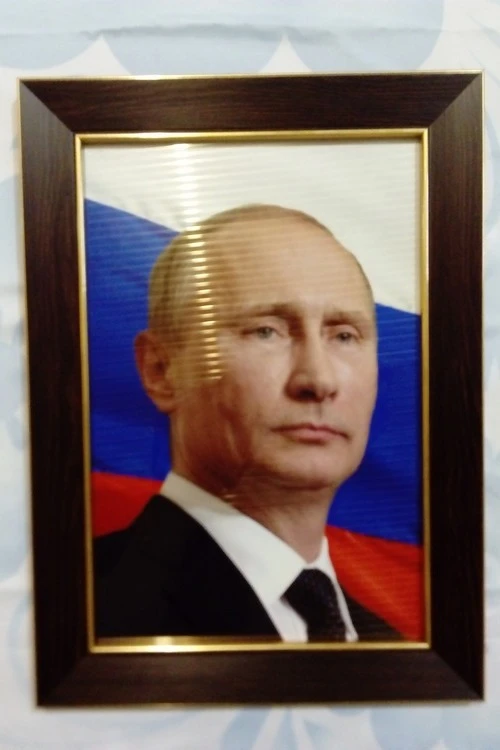 Портрет Президента РФ Путина В. В., 35х50 см, Стандарт, рама орех#2