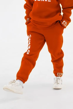 Купить брюки Хит из футера с начесом детские, однотонные оранжевые