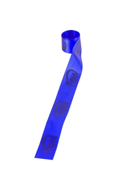 Купить ленту сатин ширина 2,5 см синяя, печать черным с одной стороны