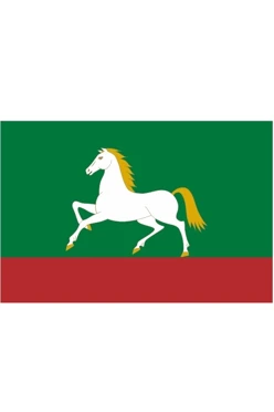 Купить флаг Белебеевского района