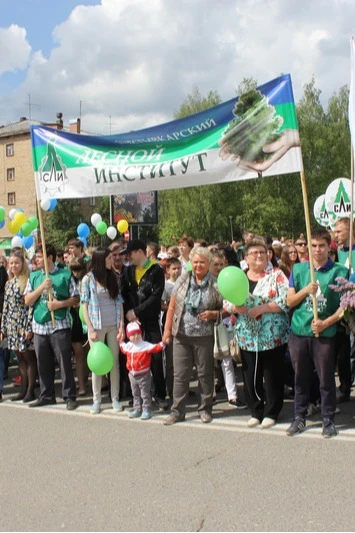 Купить однослойный транспарант 70х300 см оксфорд с карманами