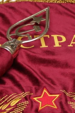 Купить навершие с гербом СССР металлическое