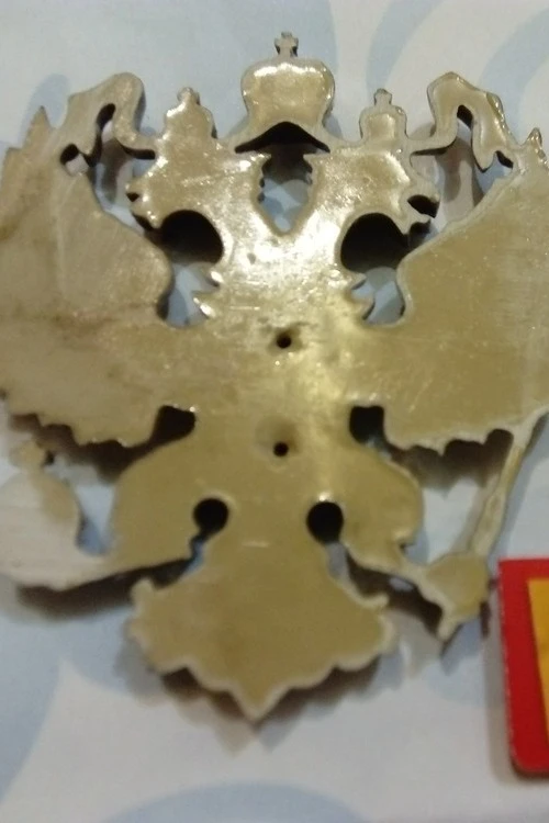 Гербовый орёл РФ 12х14 см, металлонапыление#5