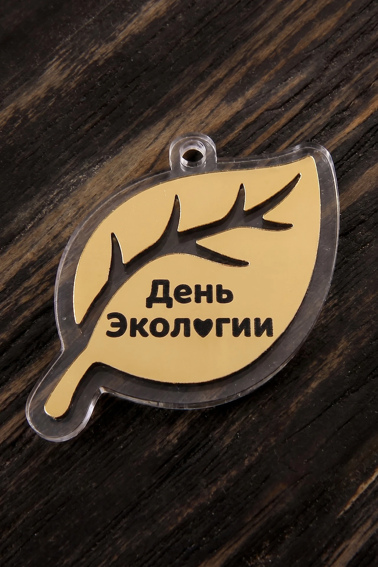 Купить медаль из акрила АК4003 Круг 40 мм с гравировкой "Ecology Day"