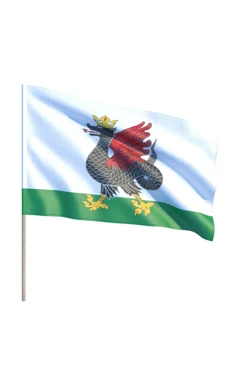 Купить флаг Казани