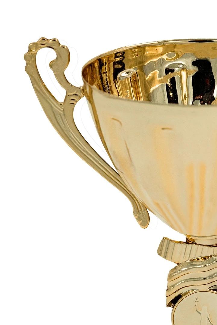 Кубок ИК0076#3