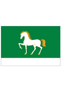 Купить флаг Абзелиловского района