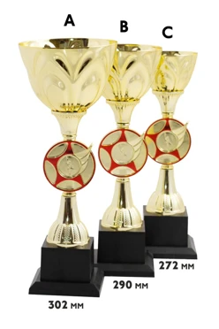Купить кубок ИК0035 Купить кубок ИК0035
