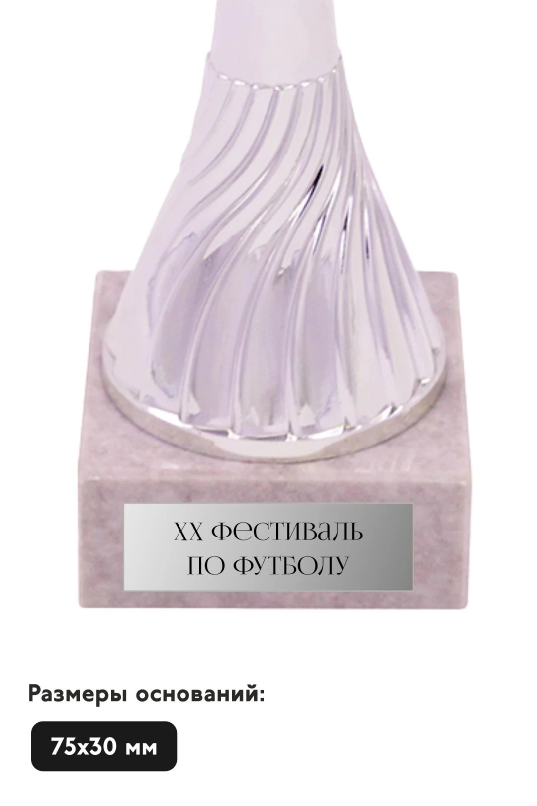 Шильд прямоугольный 65х20 мм#3