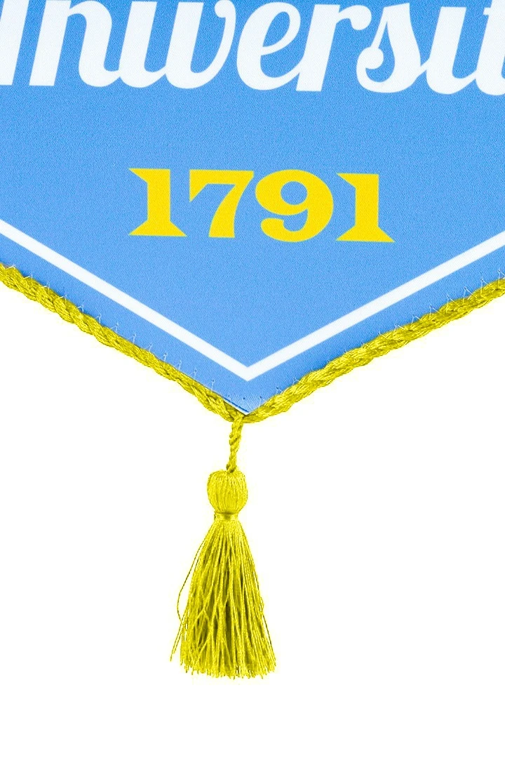 Вымпел Угол печатный со шнуром, декоративная кисть, 30х40 см#4