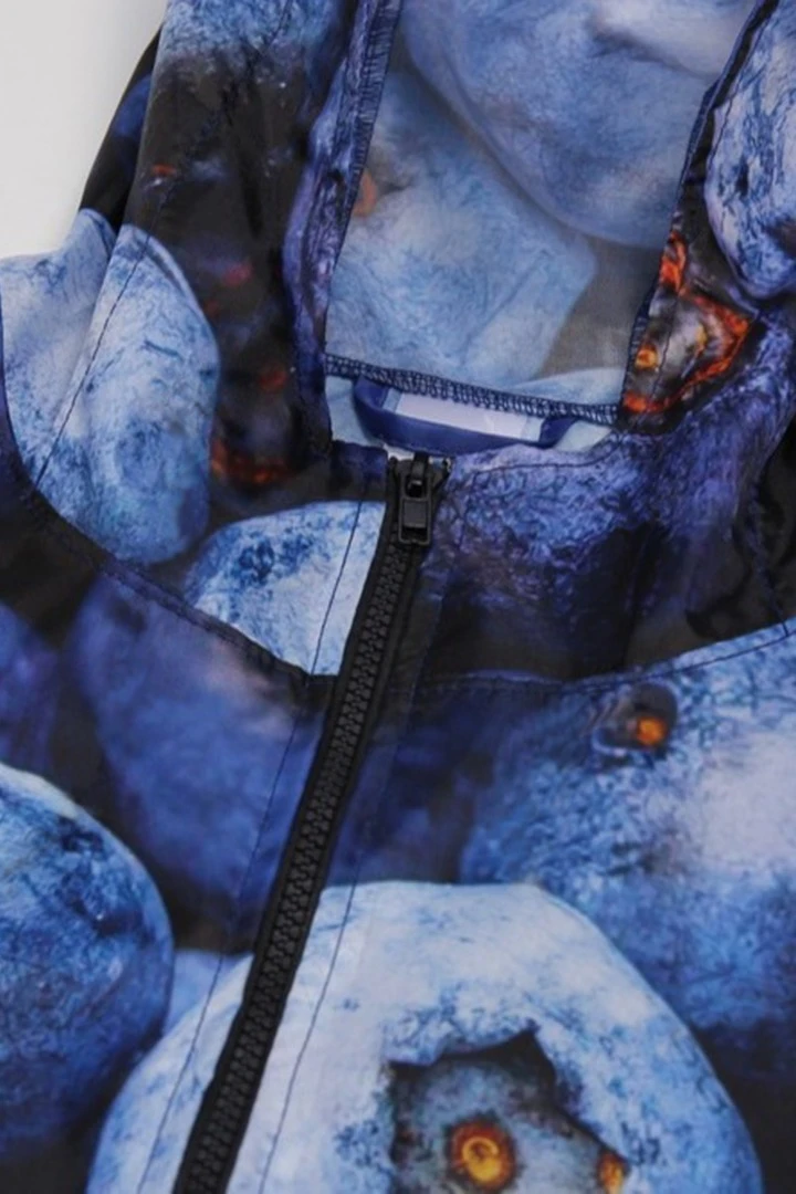 Купить ветровку Райдер с капюшоном унисекс, с полной запечаткой "Blueberry"