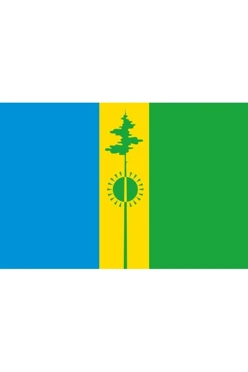 Купить флаг Нижнекамского района