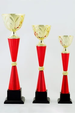 Кубок ИК0020#1 Кубок ИК0020#1