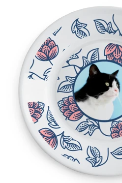 Тарелка с принтом на ободе "Cat's plate"#2