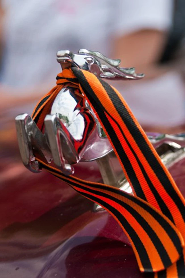 Лента георгиевская шириной 2,4 см, длина 40 см#6