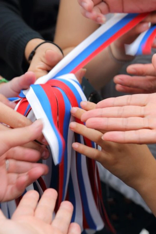 Лента триколор 50 см, шириной 2,4 см#3