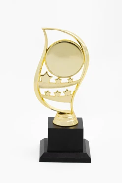 Приз Перо В303#1