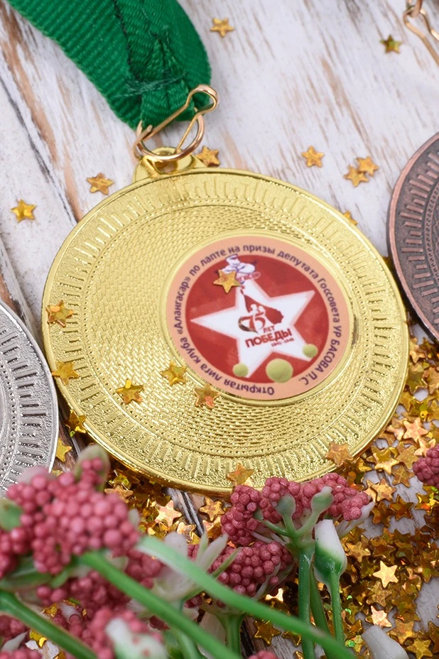 Медаль металлическая МК369 50мм с шильдом 25мм#3