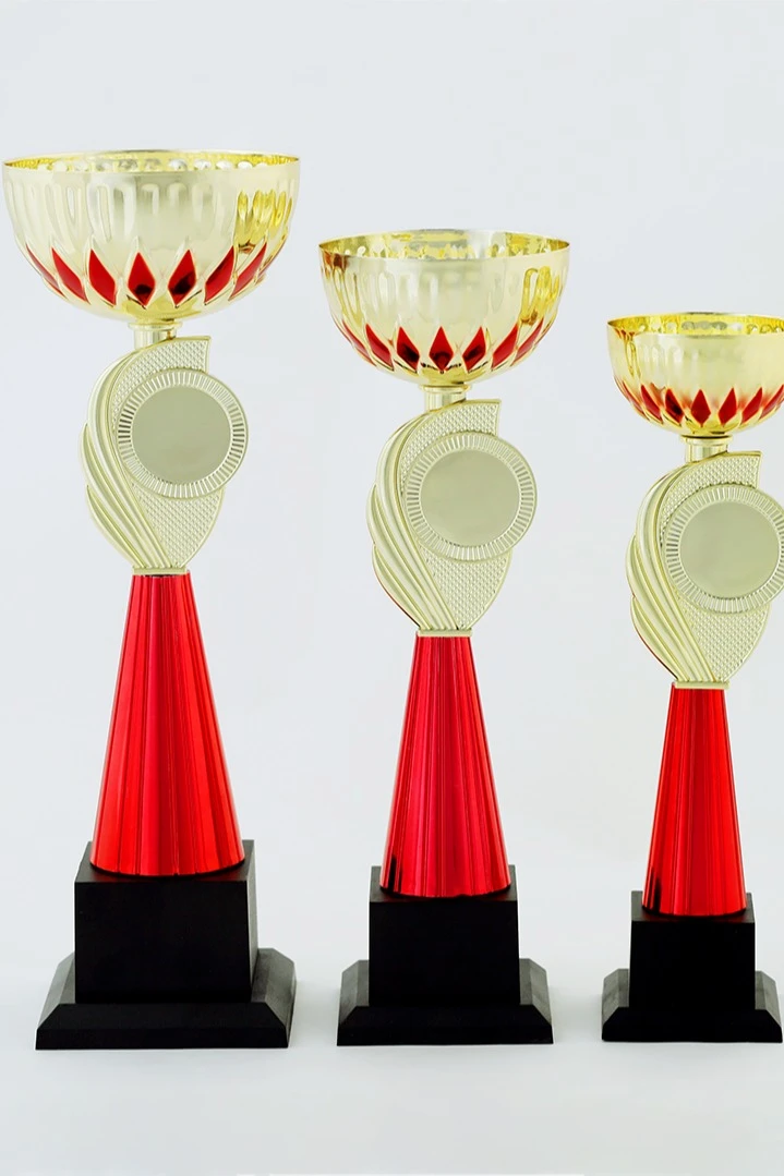 Кубок ИК0030#1