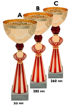 Купить кубок ИК0072 Купить кубок ИК0072