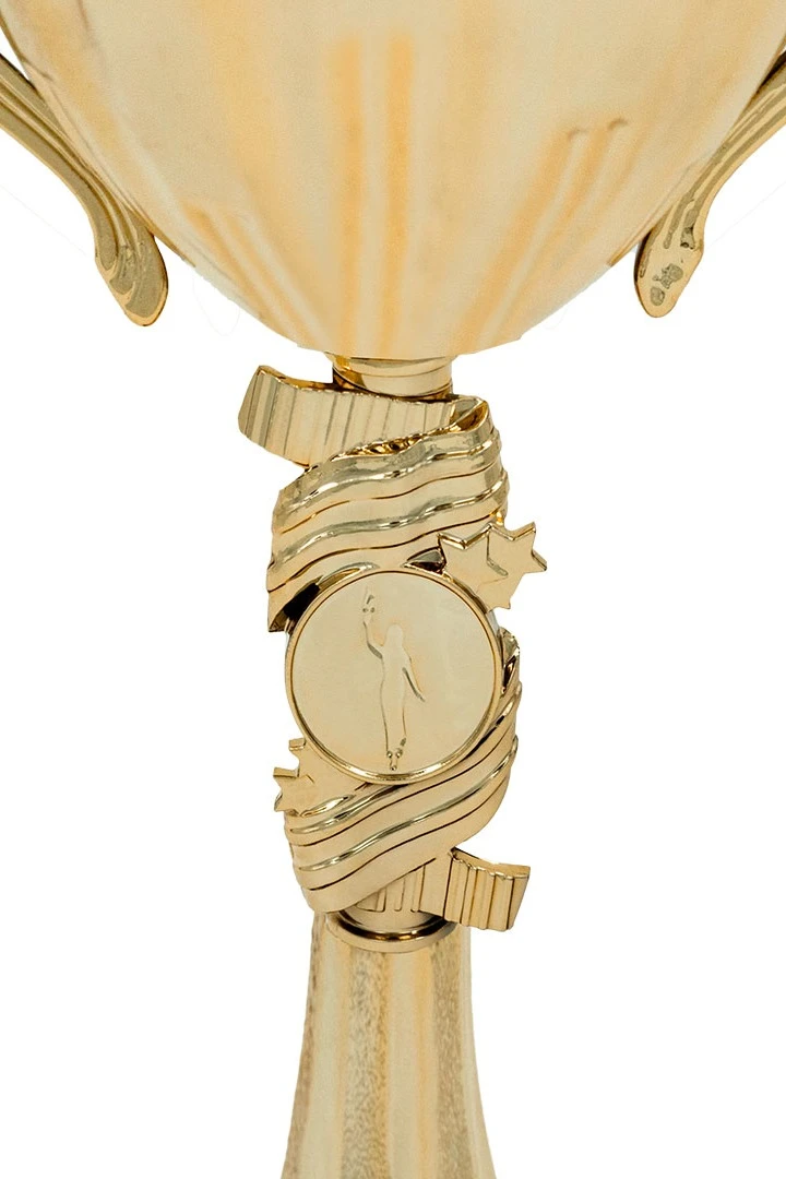 Кубок ИК0076#2