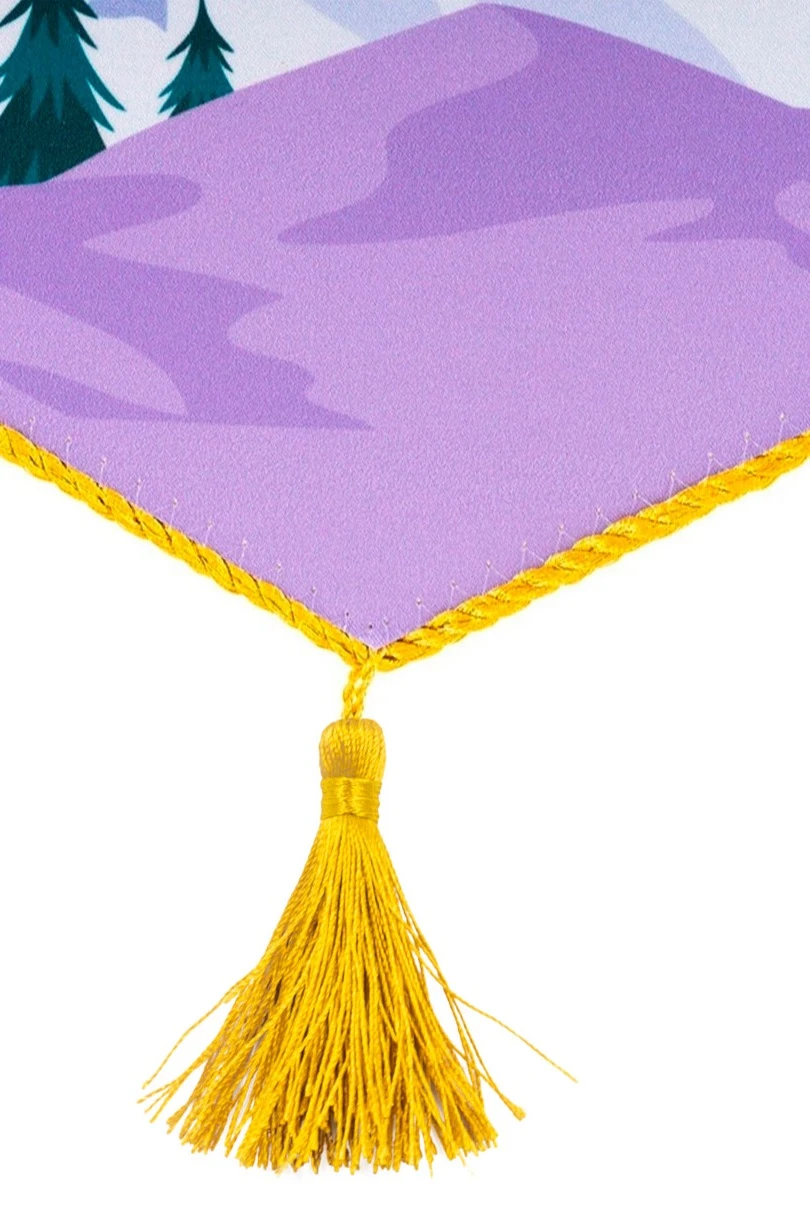 Вымпел Угол печатный со шнуром, декоративная кисть, 20х30 см#4