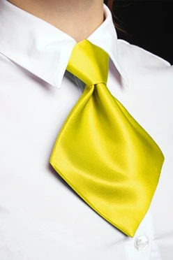 Купить галстук Аура женский желтый