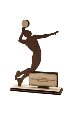 Купить приз Волейбол (14х4,7х18,5 см) с гравировкой