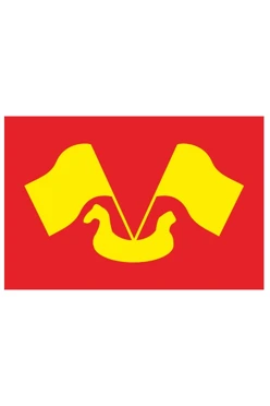 Купить  флаг Кировского района