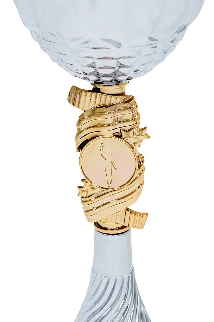 Кубок ИК0064#2