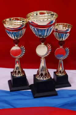 Кубок ИК0063#2 Кубок ИК0063#2