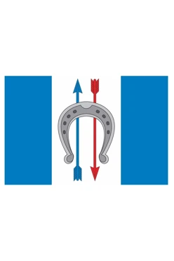 Купить флаг Болотного