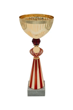 Кубок ИК0072#1 Кубок ИК0072#1