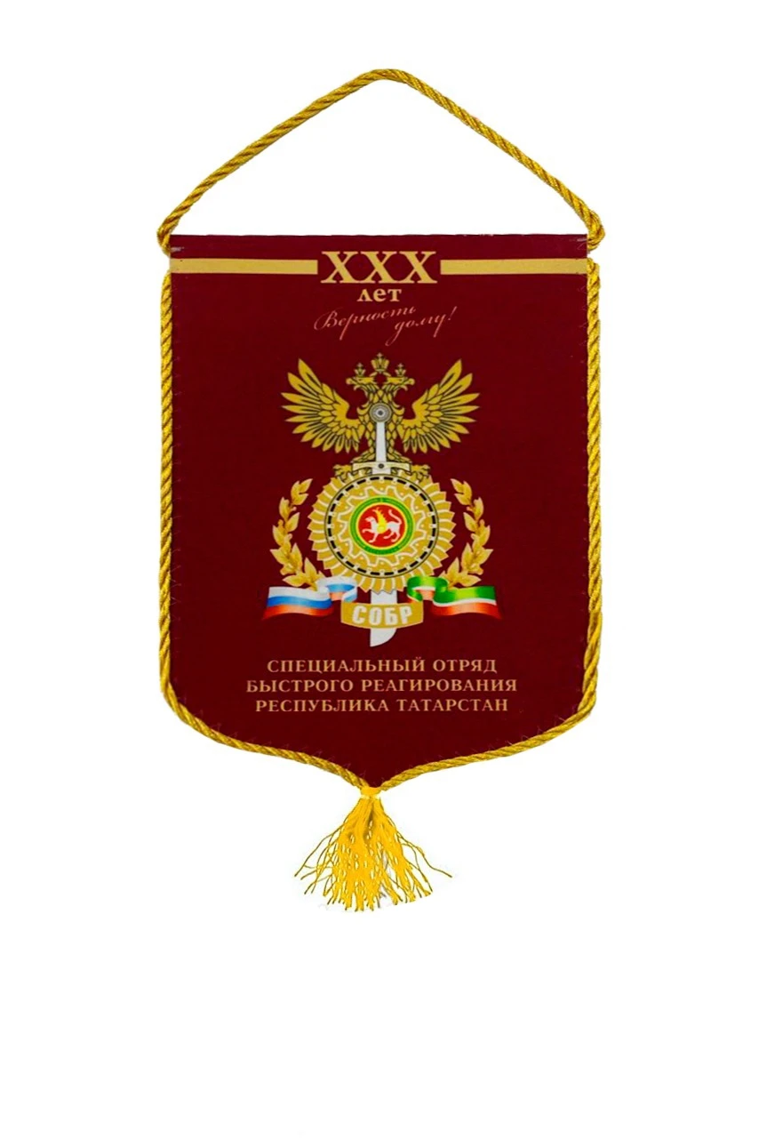 Вымпел Герб печатный со шнуром, кисть из шнура, 15х22 см#1