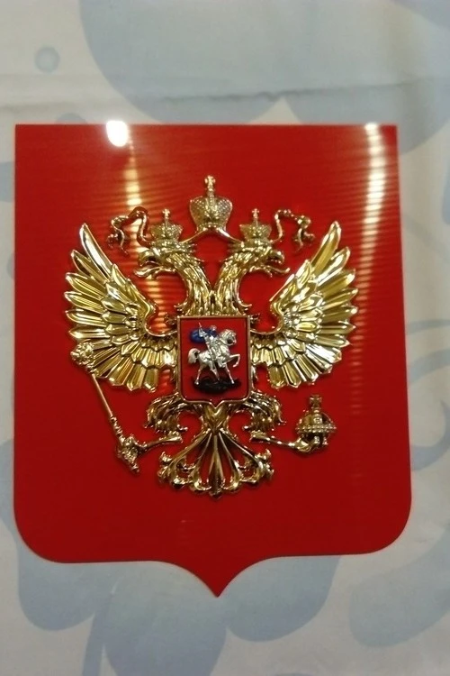 Герб РФ 22х26 см, барельеф, щит пластик, металлонапыление#1 Герб РФ 22х26 см, барельеф, щит пластик, металлонапыление#1