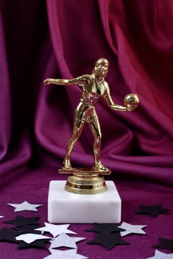 Приз Волейболистка 204-191-G#1