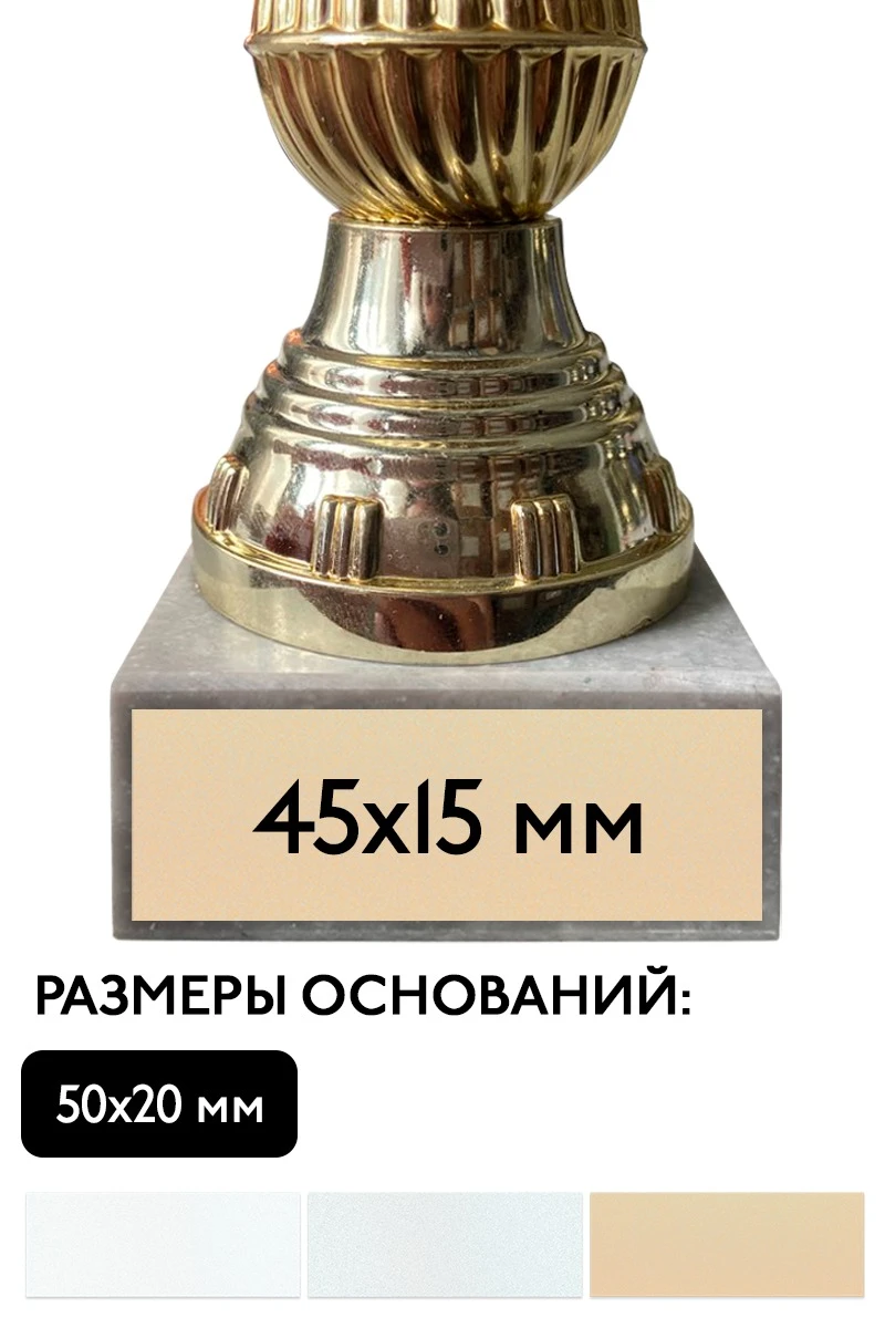 Шильд прямоугольный 45х15 мм#3