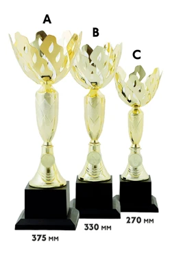 Купить кубок ИК0017 Купить кубок ИК0017